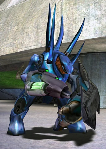 ree