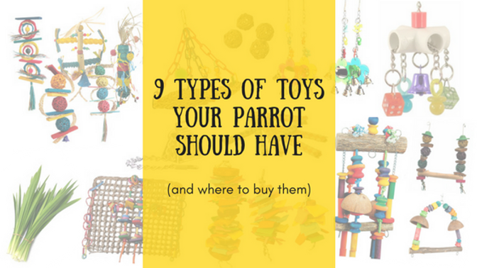 places to get toys near me
