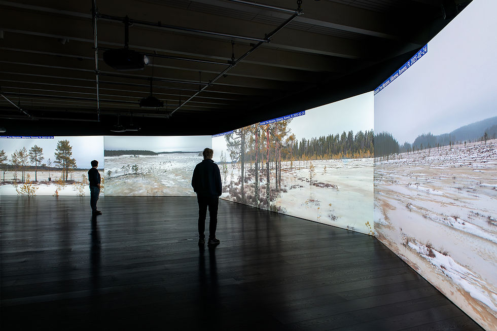 As Trees Go By, installation view exhibition "As Trees Go By", Serlachius Museums, Mänttä, FI, 2025