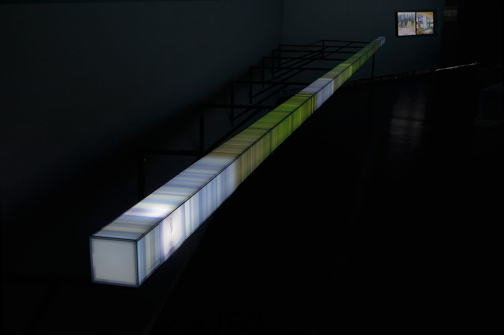Migration Route, installation view exhibition "As Trees Go By", Serlachius Museums, Mänttä, FI, 2025