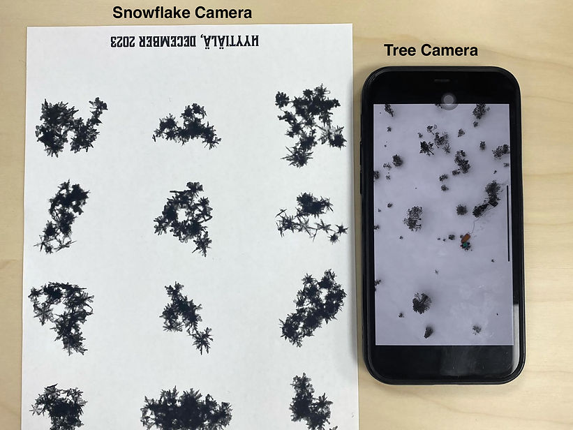 Snowflakes and trees_kitchen.jpg