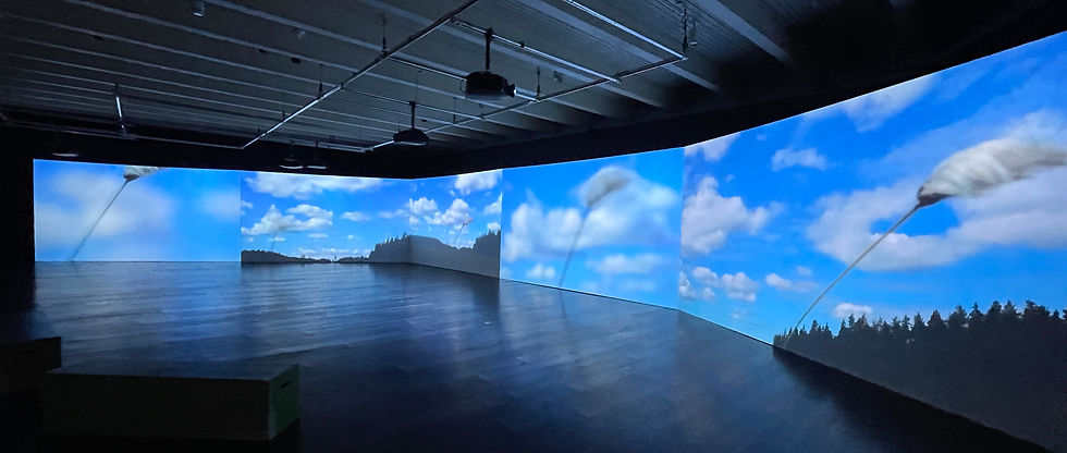 As Trees Go By, installation view exhibition "As Trees Go By", Serlachius Museums, Mänttä, FI, 2025