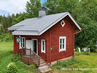 Office for Tree Migration (OTM), Hyytiälä, FI, 2024-ongoing 