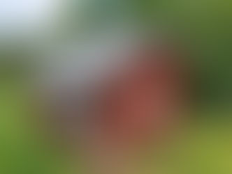 Office for Tree Migration (OTM), Hyytiälä, FI, 2024-ongoing 