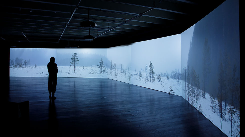 As Trees Go By, installation view exhibition "As Trees Go By", Serlachius Museums, Mänttä, FI, 2025