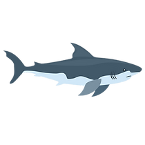 Design sans titre (14)-Photoroom.png