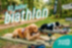 đŻ ActivitĂ© Sportive : Biathlon (inter-Ă©quipes)