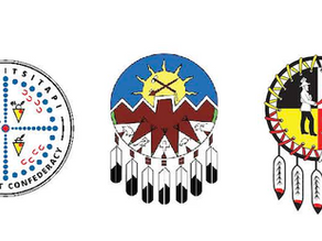 AFN Emergency Resolution Opposes Alberta Separation