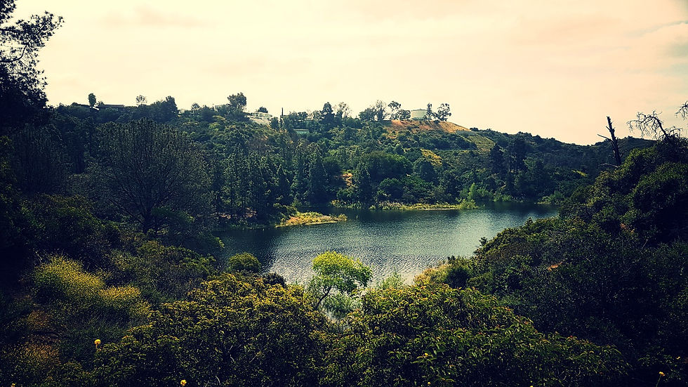 Lake Hollywood