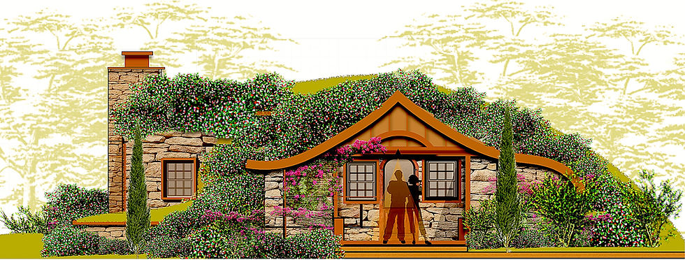 Close-up view of green roof with native plants on an earth-sheltered home