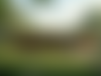 Contemporary Earth-Sheltered Homes: A Fusion of Design