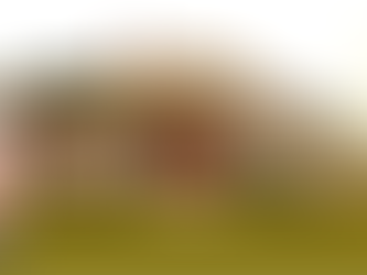 Embrace the Earth: Your Sanctuary Awaits!