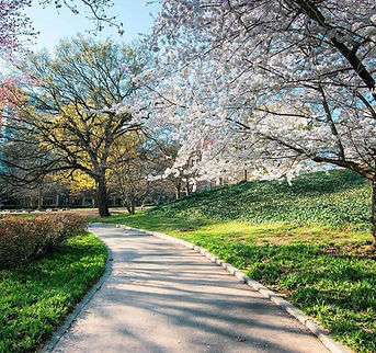 Spring