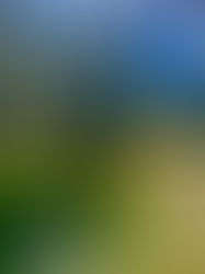 ALLYSON DEBEST WINS WYLAND NATIONAL PHOTO CONTEST!