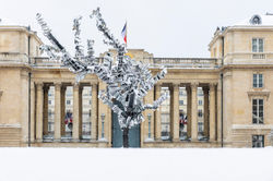 L'Arbre aux mille voix