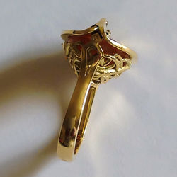 Nid d’aigles 2.jpg