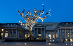 L'Arbre aux mille voix