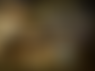 Wishlist Coming Soon! Early Access Release Date