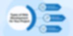 Types of Website Development