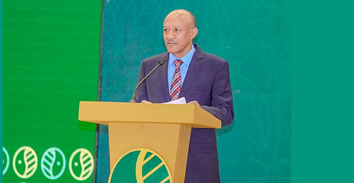 Deputy Prime Minister Temesgen