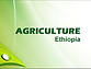 agriculture ethiopia