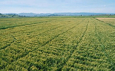 Agricultural developments in the Oromia Region_