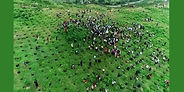 Ambassadors and diplomatic representatives from various countries have praised Ethiopia’s 