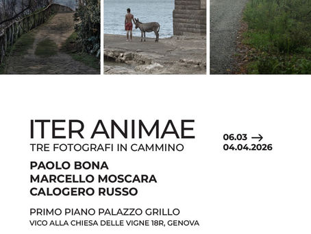 Mostra Iter Animae