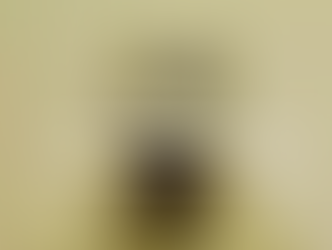 Lookbook od Stone Island - Wiosna/Lato