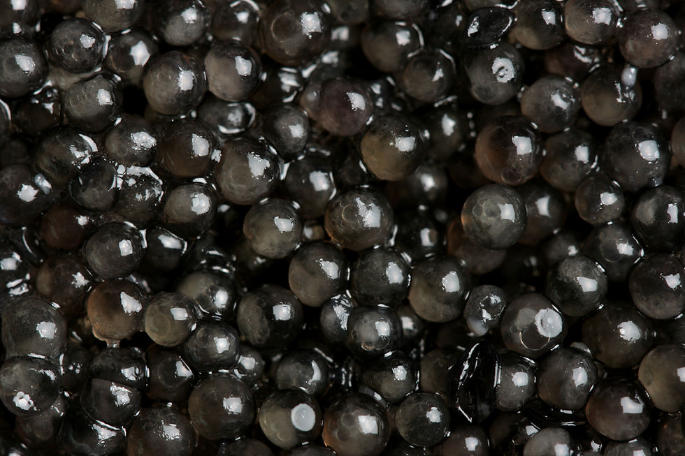 Miniature : Swiss Caviar | 瑞士魚子醬