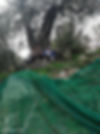 IMG-20180114-WA0039.jpg