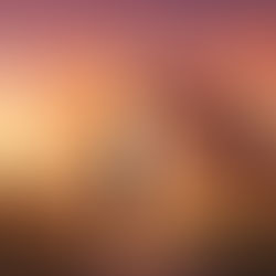 Unpacking the Journey to Billionaire Status: "From Broke to Rich" (Book 01)