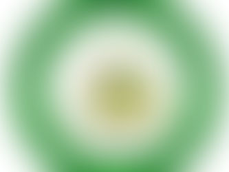 معصرة الفاتح الحديثة لعصر الزيتون وتجارتها
