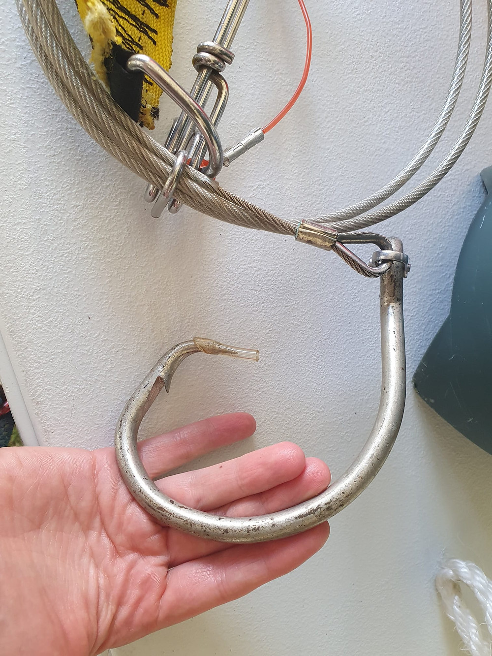 Hook on shark culling drumline used in NSW