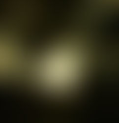 Slow, within our Worship