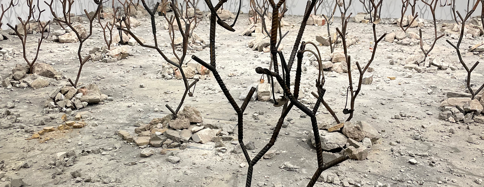 Kader Attia: Intifada: The Endless Rhizomes of Revolution, 2016