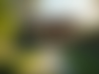 Unlocking the Benefits of ADUs in North Bay