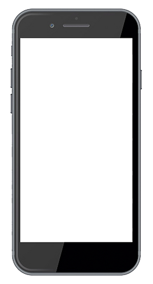 29258988 (1).png