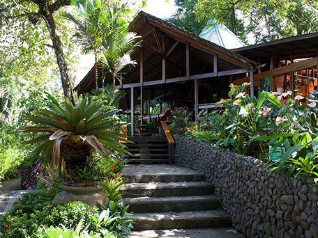 Sustainable Tourism: Visiting the Natural Jungles of Costa Rica