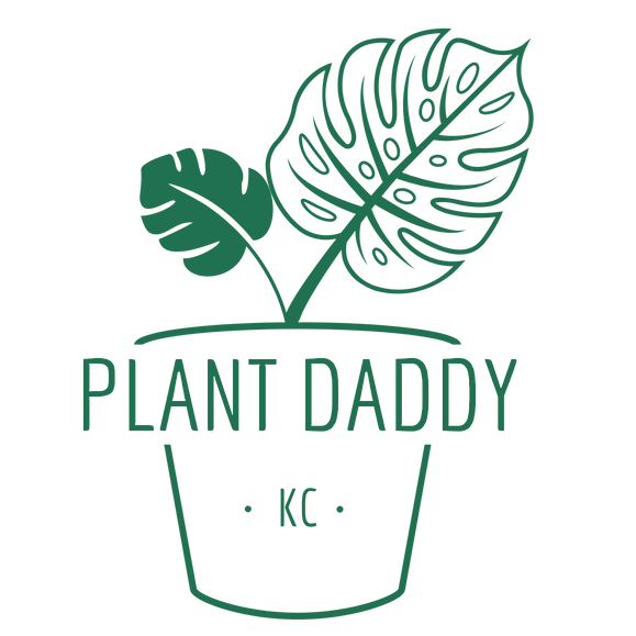LogoGreen_Transparent (1).png
