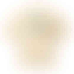 2. Women's Boxy Fit Tee – Eco-Friendly Pet Lover Shirt with Primal Graphics