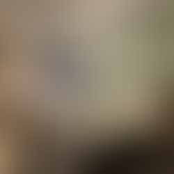 UTTOXETER OLD ROAD , DERBY