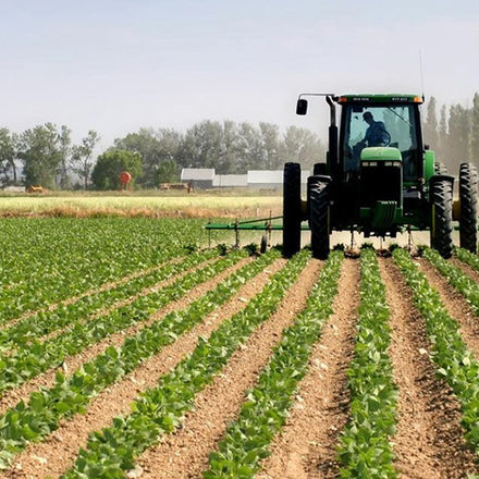 Sowing Diversity: The Transformative Role of Agro-Allied Industries in Diversifying Nigeria's Economy