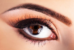 Cote st luc Make-up
