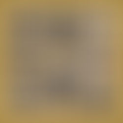 Celebrating Virtual Championship Success