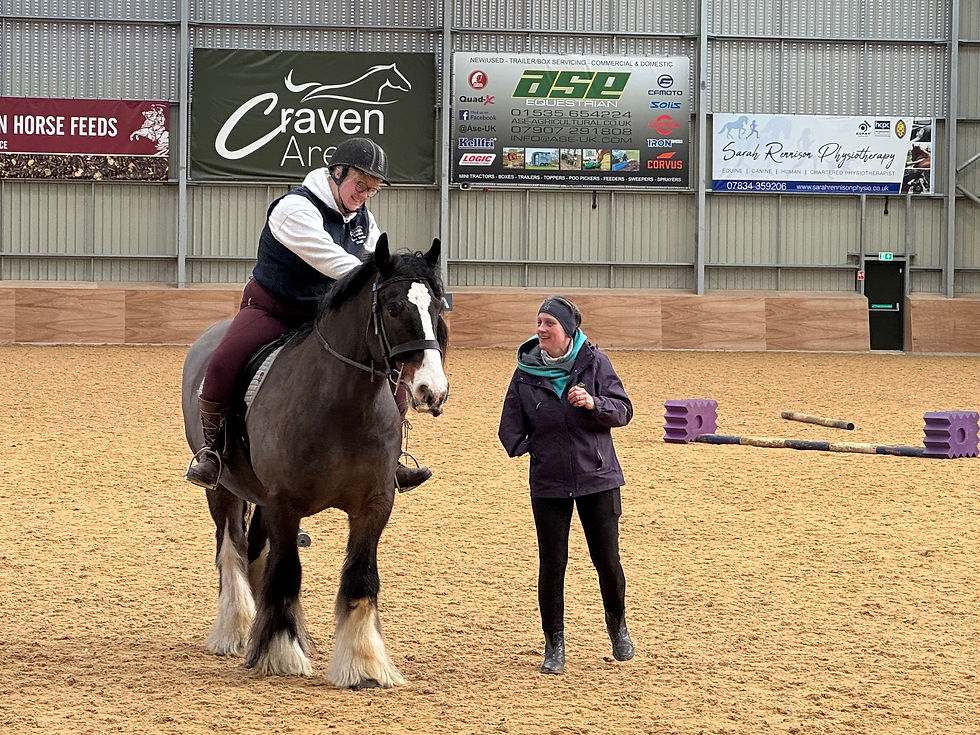 Claire Pope talking to rider riding a bay cob. Purple jump wing in the background.