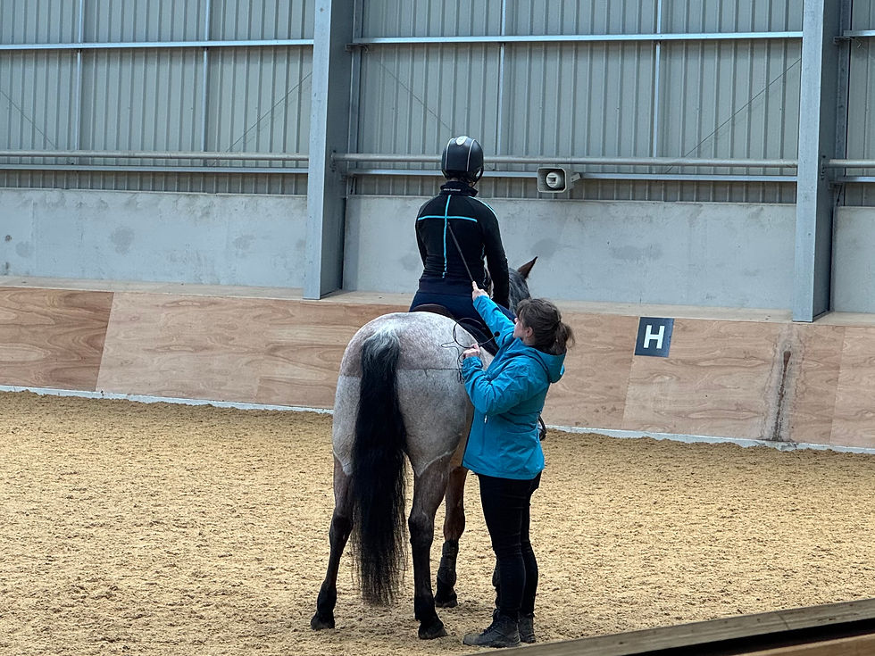 Rider riding a bay roan. Natalie Fizio is pointing at the rider's jacket which is marked with horizontal and vertical lines.