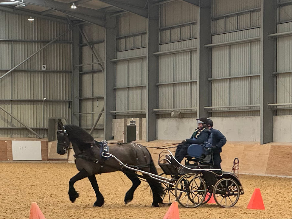 Faye demonstrating her carriage driving with her black Freshian horse called Majestic. One footman also on the carriage.