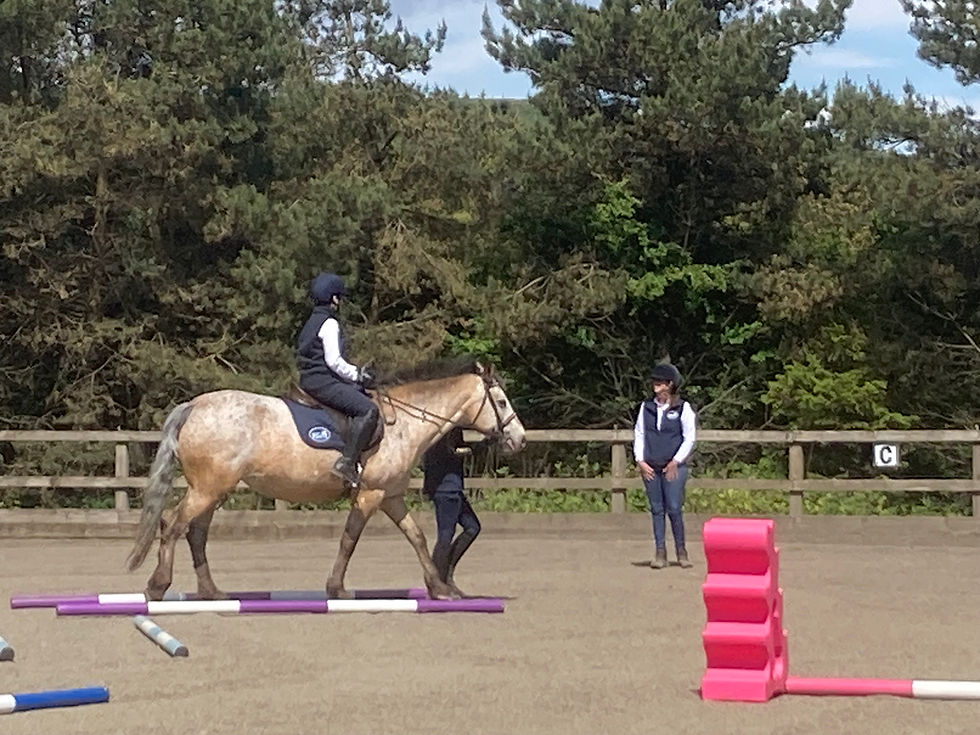 Photo shows RDA rider, pony, leader and coach in an outdoor school giving a riding demonstration. There are poles laid out.