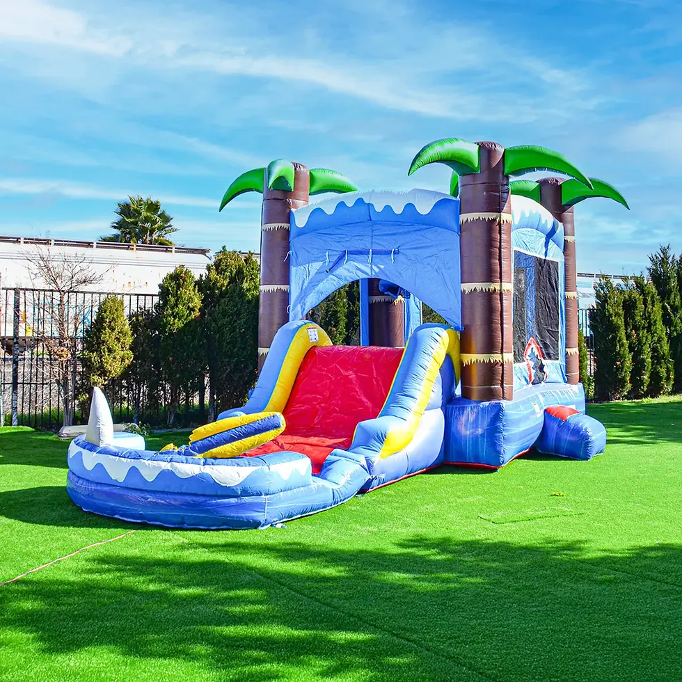 Ocean Shark Inflatable Water Slide/Bounce House Combo